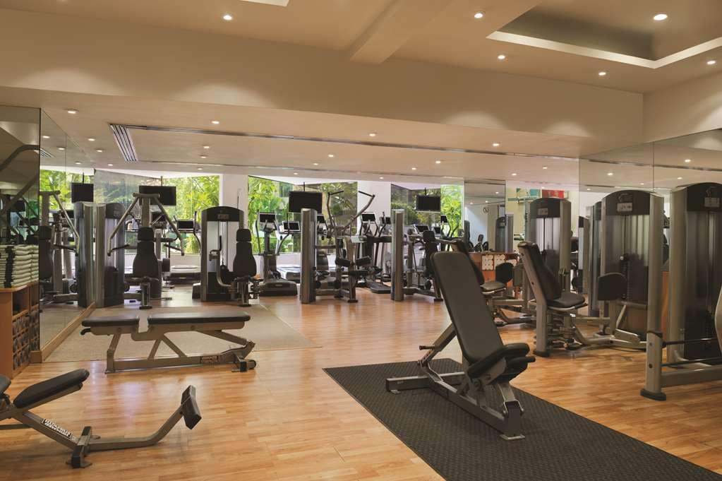 Hyatt Regency Delhi Hotel New Delhi Facilități foto The gym at the InterContinental